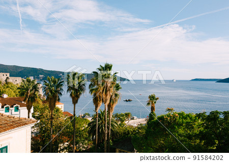 View over the tops of palm trees to the pier of the town of Herceg Novi in Montenegro 91584202