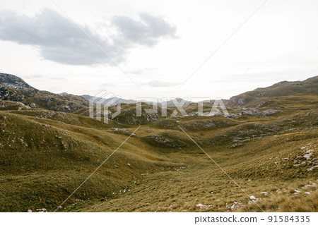 Green valley near the Sedlo pass in Durmitor National Park against the sky 91584335