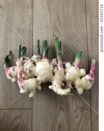 A view from above with a large ginger placed on the floor A view from above with a large ginger placed on the floor 91585719
