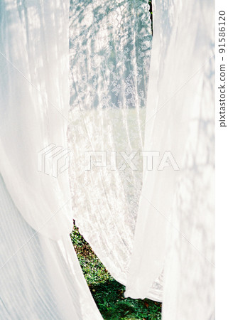 White curtains hang in a green garden White curtains hang in a green garden 91586120