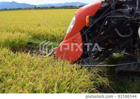 New rice harvesting combine New rice harvesting combine 91586544