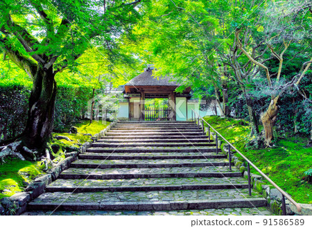 The gate of Anrakuji Temple in Kyoto The gate of Anrakuji Temple in Kyoto 91586589
