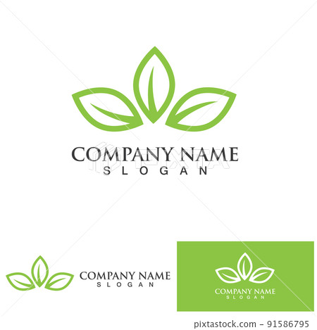 Green leaf ecology Logo nature element Green leaf ecology Logo nature element 91586795