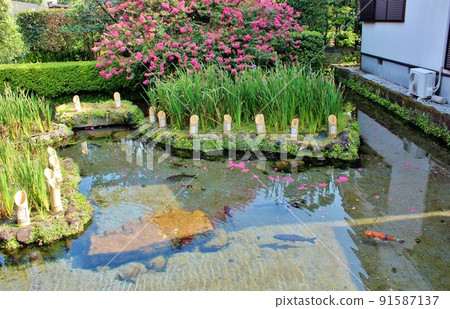 Shimeiso Spring Water Garden 91587137