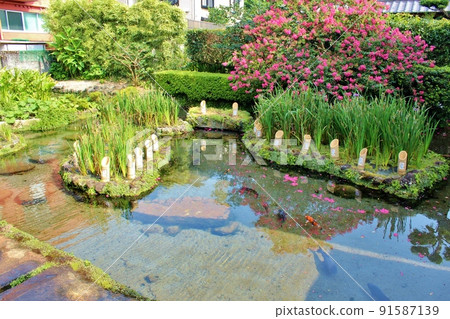 Shimeiso Spring Water Garden 91587139