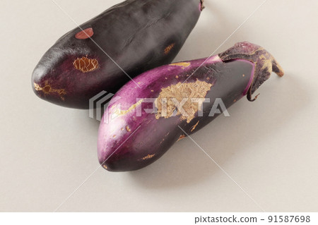 Home-grown eggplant (thornless Senryo No. 2) with some of the fruits discolored and hardened Home-grown eggplant (thornless Senryo No. 2) with some of the fruits discolored and hardened 91587698