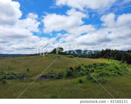 夏日的天空 91588131