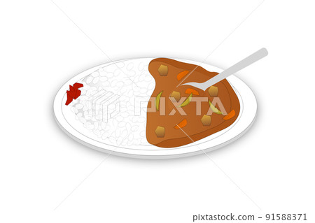 Curry and rice  91588371