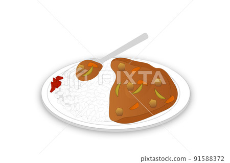 Curry and rice  91588372