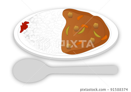 Curry and rice  91588374