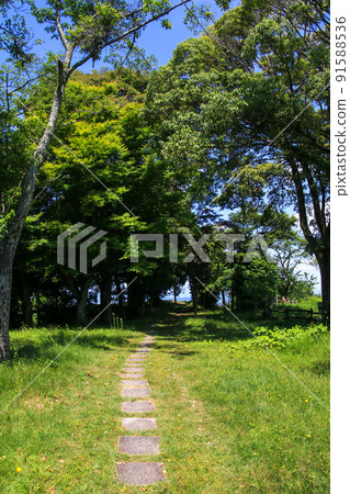水口岡山城跡 水口岡山城跡 91588536