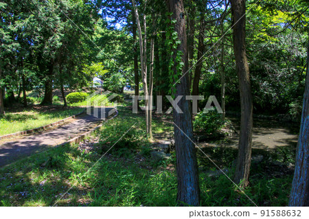 Mizuguchi Park Mizuguchi Park 91588632