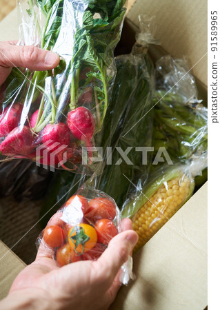 Fresh vegetables sent directly from the production area 91589965