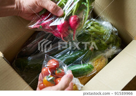 Fresh vegetables sent directly from the production area 91589966