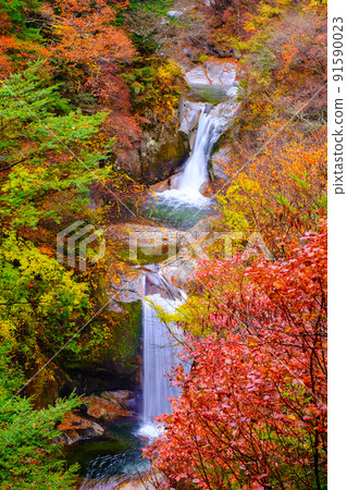 小白川峽谷:上瀧(秋季) 小白川峽谷:上瀧(秋季) 91590023