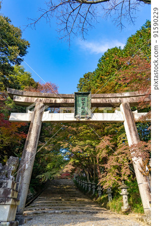 滋賀縣多賀町秋天的河宮神社鳥居 91590229