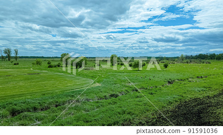 Blue cloudy sky above a grassy landscape Blue cloudy sky above a grassy landscape 91591036