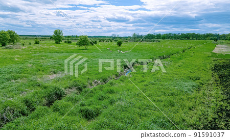 Flock of birds fly off above a stream in a grassy landscape 91591037