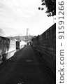 農村一條老後巷的景色 91591266