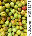 剛採摘的李子 91591275