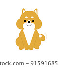 Shiba Inu 91591685