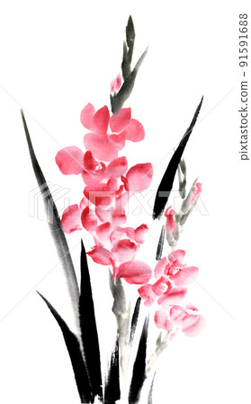 用水墨畫技法繪製的唐菖蒲 91591688
