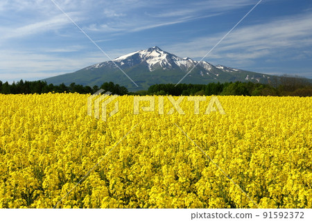 青森縣西津輕郡鰺澤町立井町 91592372