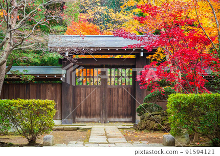埼玉平林寺新座的秋葉 埼玉平林寺新座的秋葉 91594121