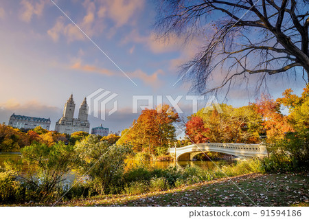 Central Park in autumn  in midtown Manhattan New York City 91594186