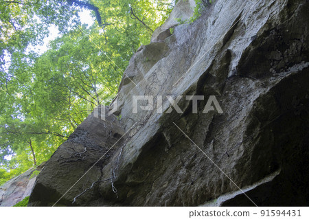 Fresh green and big rocks in early summer Fresh green and big rocks in early summer 91594431