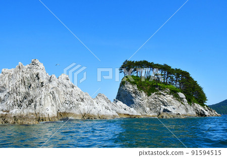 三陸深光國立公園，岩手縣宮古市，宮古淨土浜，從觀光船遠眺劍山和田代崎半島 91594515