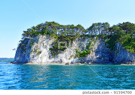 三陸深光國立公園,岩手縣宮古市,淨土浜,赤松南部,生長在台場的懸崖上 三陸深光國立公園,岩手縣宮古市,淨土浜,赤松南部,生長在台場的懸崖上 91594700