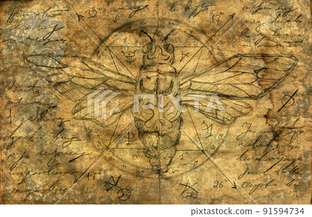 Hand drawn Halloween illustration of old page with moth, wicca and mystic symbols from witch magic spell book. Hand drawn Halloween illustration of old page with moth, wicca and mystic symbols from witch magic spell book. 91594734