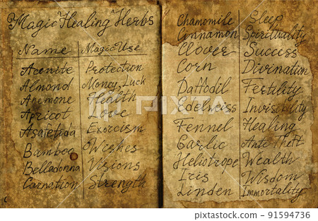 Hand drawn Halloween illustration of old page with names of magic plants for witch spell book. 91594736