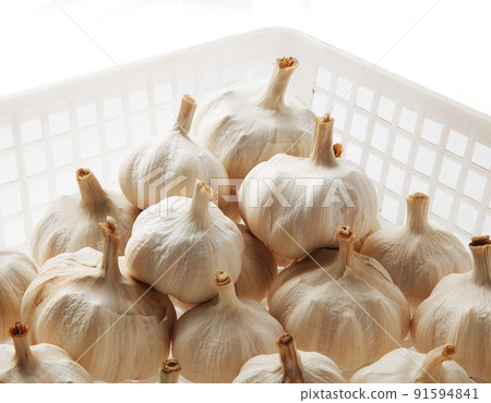 黑蒜保健食品 黑蒜保健食品 91594841