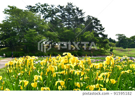 宮城縣多賀城特別史蹟 國府多賀城遺址 綾女庭園 綾女祭 91595182