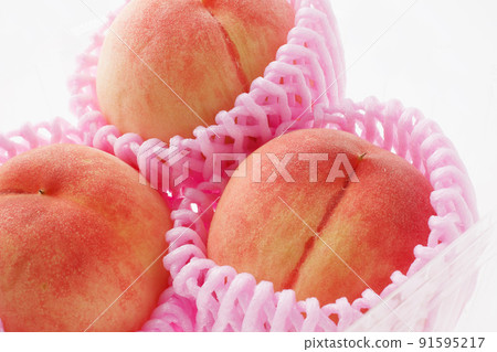 Peach white background 91595217