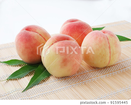 桃白色背景 桃白色背景 91595445