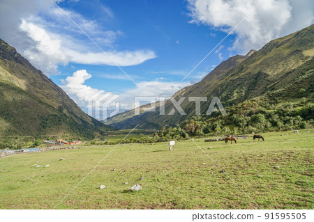 薩爾坎泰徒步景觀 薩爾坎泰徒步景觀 91595505