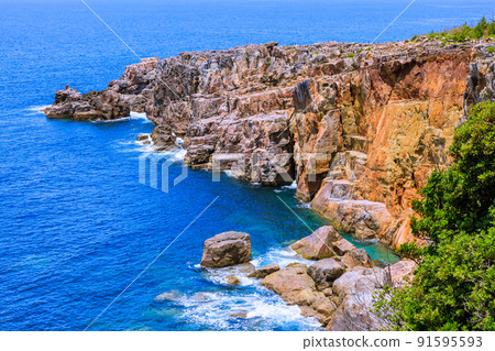 Sandanbeki Rock Rock when the fresh green shines, Shirahama Town, Wakayama Prefecture 91595593