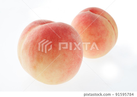 桃白色背景 桃白色背景 91595784