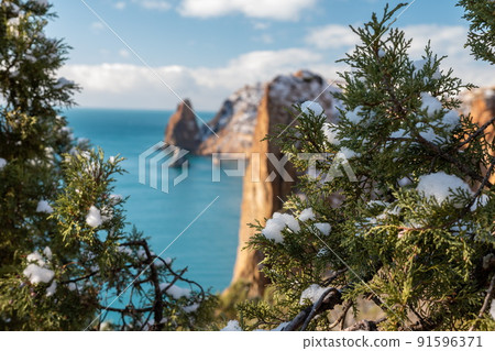 Snow covered rocky cliffs over sea. Winter sunset over the sea bay. Juniper tree under snow. Concept of winter holidays, travel, adventure and recreation Cape Fiolent in Balaklava, Sevastopol, Crimea. 91596371