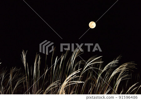秋季傳統中秋月亮和蒲葦/ 91596486