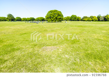 Landscape with green and blue sky 91596788
