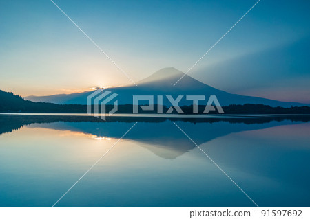 （靜岡縣）富士山的黎明和狸貓湖的夏天 91597692