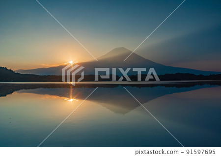 （靜岡縣）富士山的黎明和狸貓湖的夏天 91597695