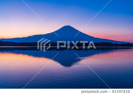 (靜岡縣)富士山的黎明和狸貓湖的夏天 (靜岡縣)富士山的黎明和狸貓湖的夏天 91597838