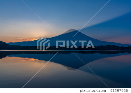 （靜岡縣）富士山的黎明和狸貓湖的夏天 91597966