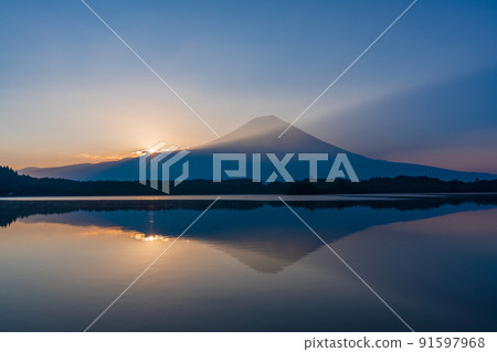 (Shizuoka Prefecture) Dawn of Mt. Fuji and Lake Tanuki Summer (Shizuoka Prefecture) Dawn of Mt. Fuji and Lake Tanuki Summer 91597968