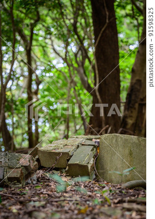 從磚頭里冒出來的夏發十 | 老磚林 從磚頭里冒出來的夏發十 | 老磚林 91598325